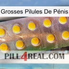 Grosses Pilules De Pénis new11